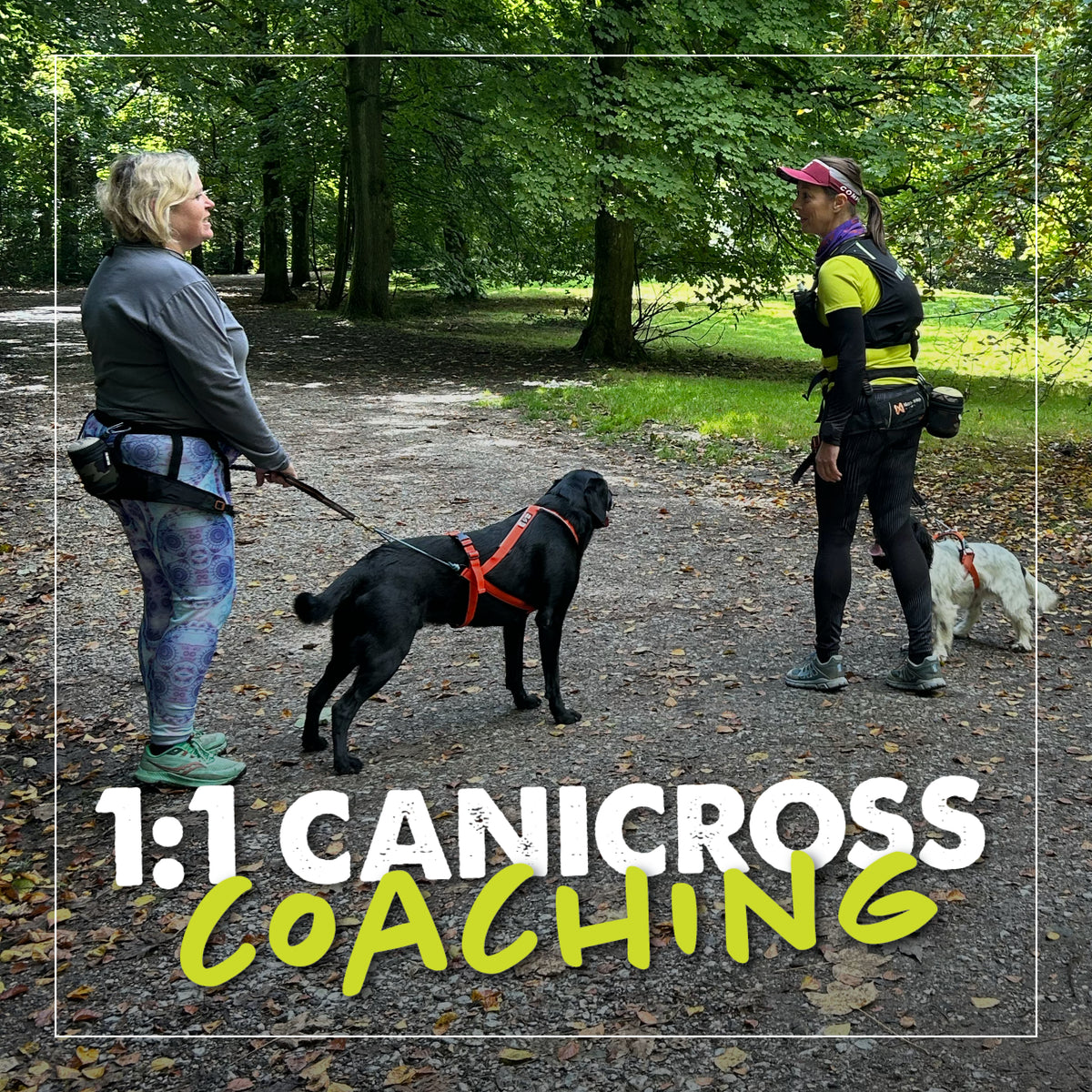 1:1 Canicross Foundation Session