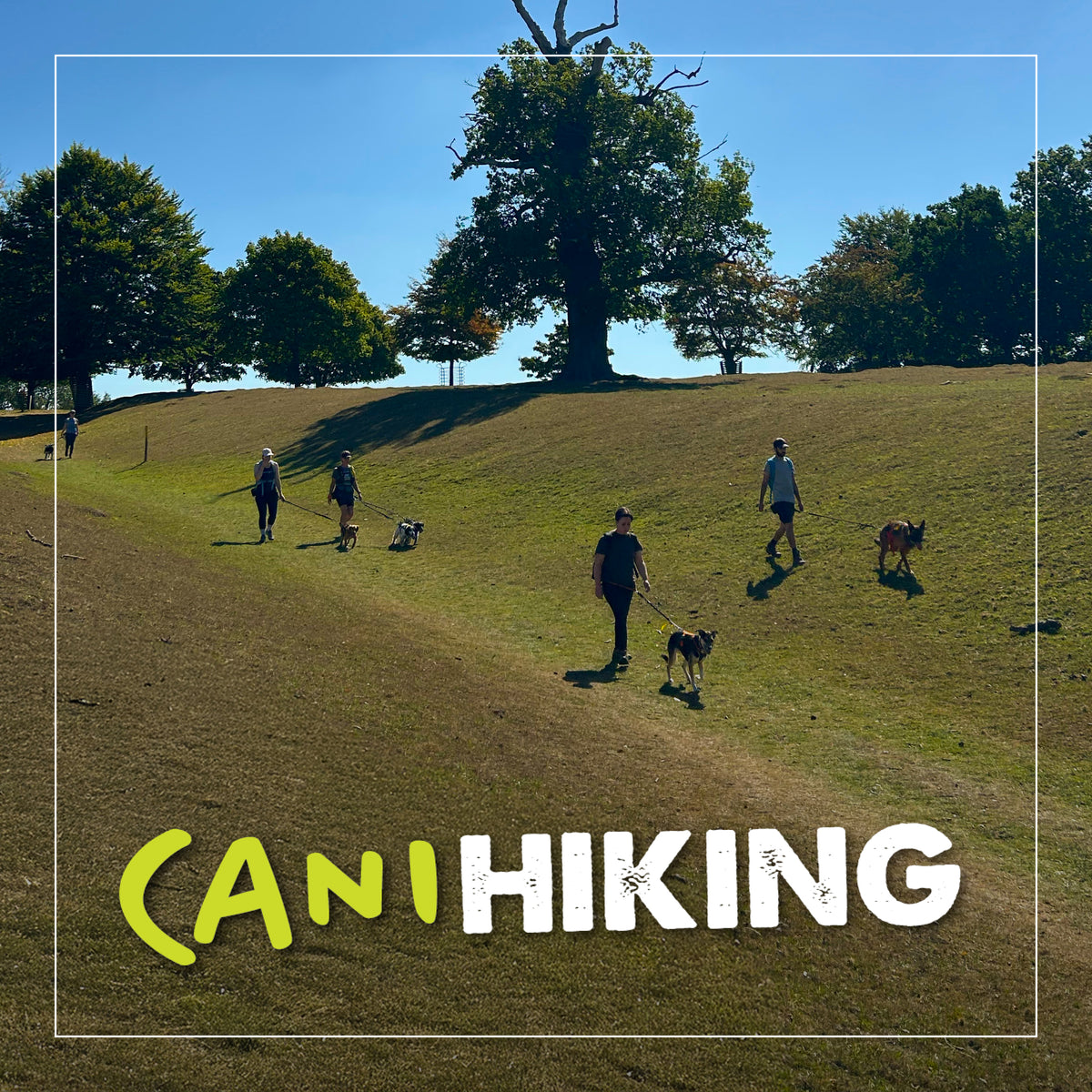 Canihiking