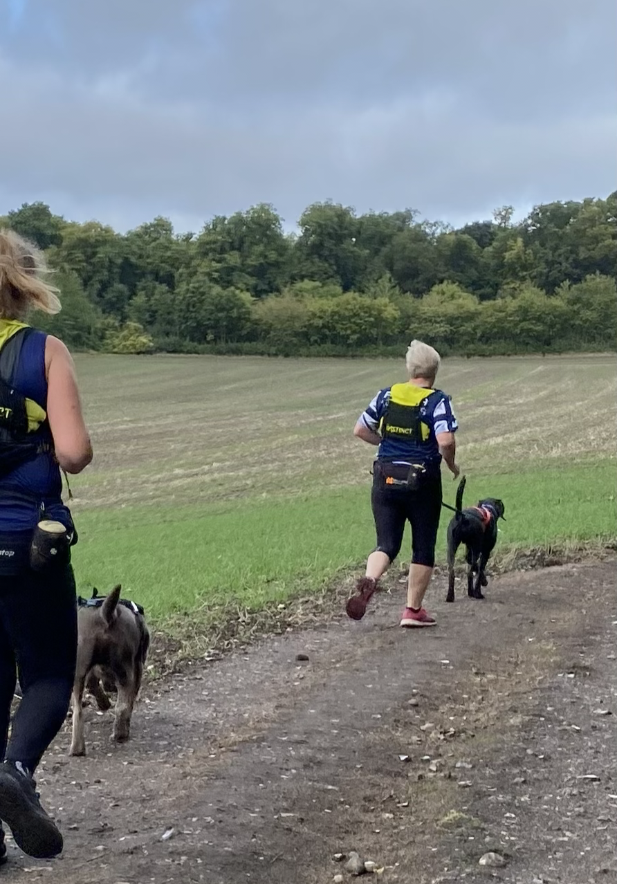 Instinct Evolution 7L Running Vest