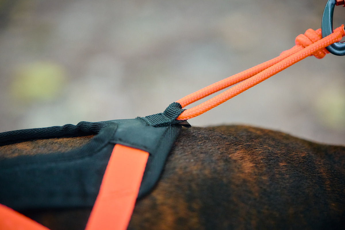 Non Stop Rush harness
