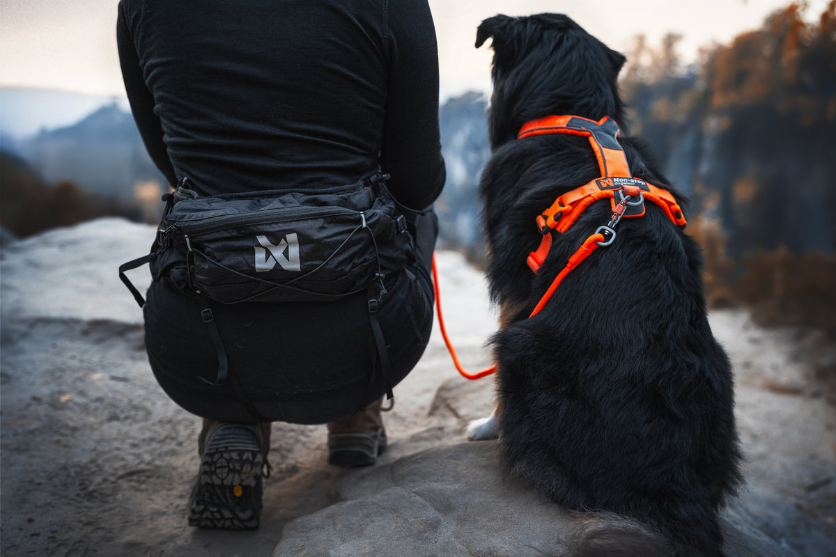 Non Stop Trail Light Belt