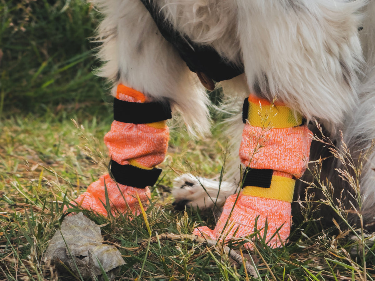 Non Stop Dogwear Protector Light Socks High