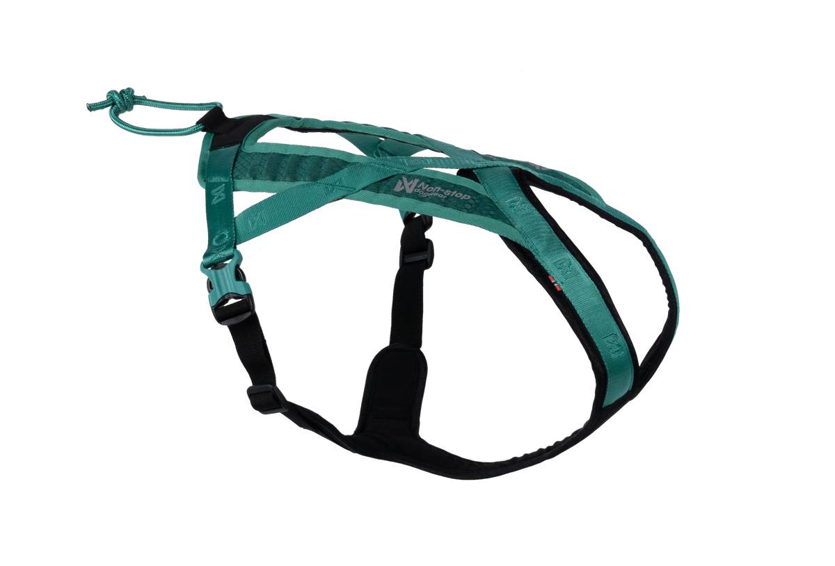 Non Stop Rush harness