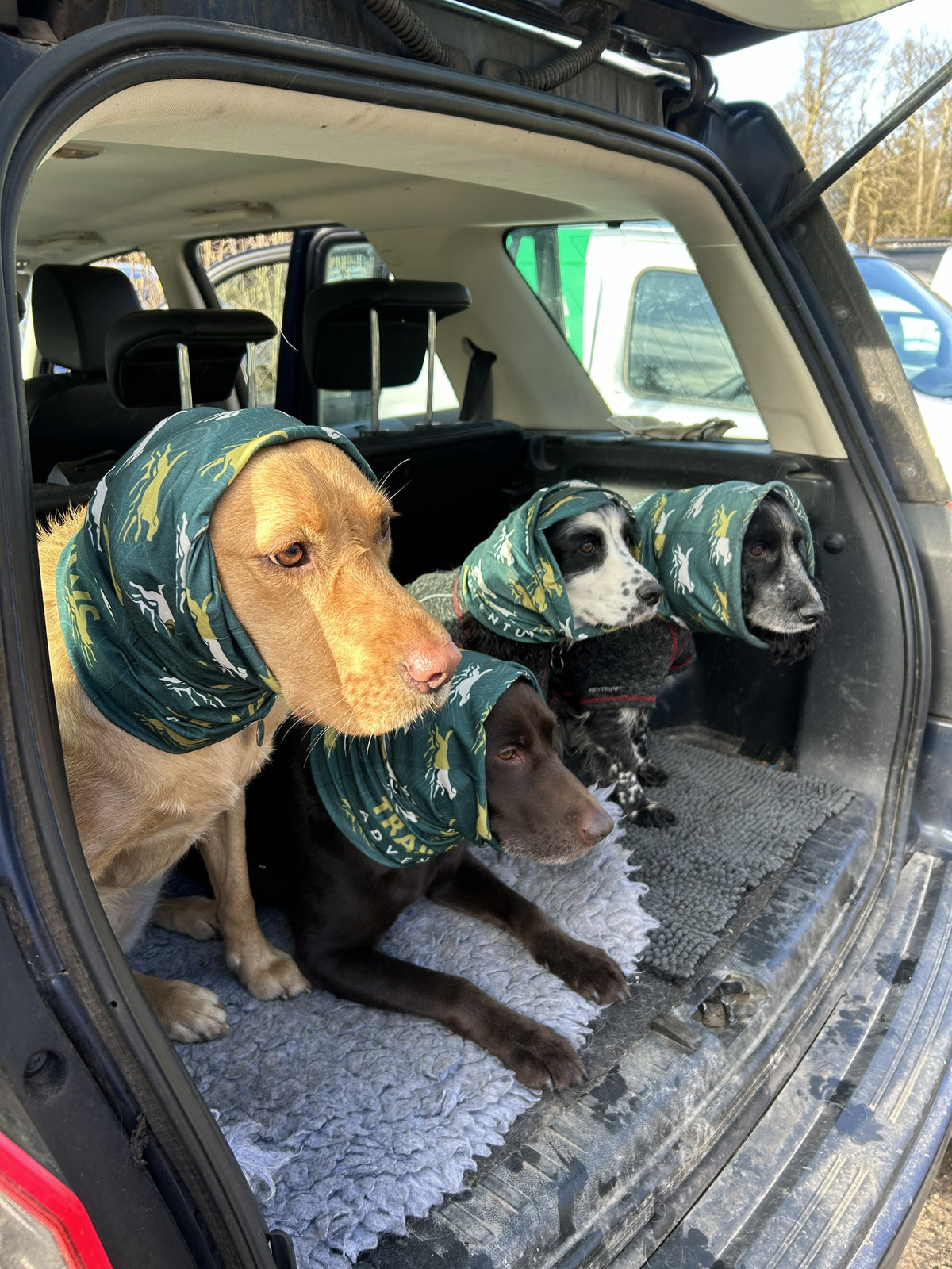 Trail Paws Multifunctional Neck Tube