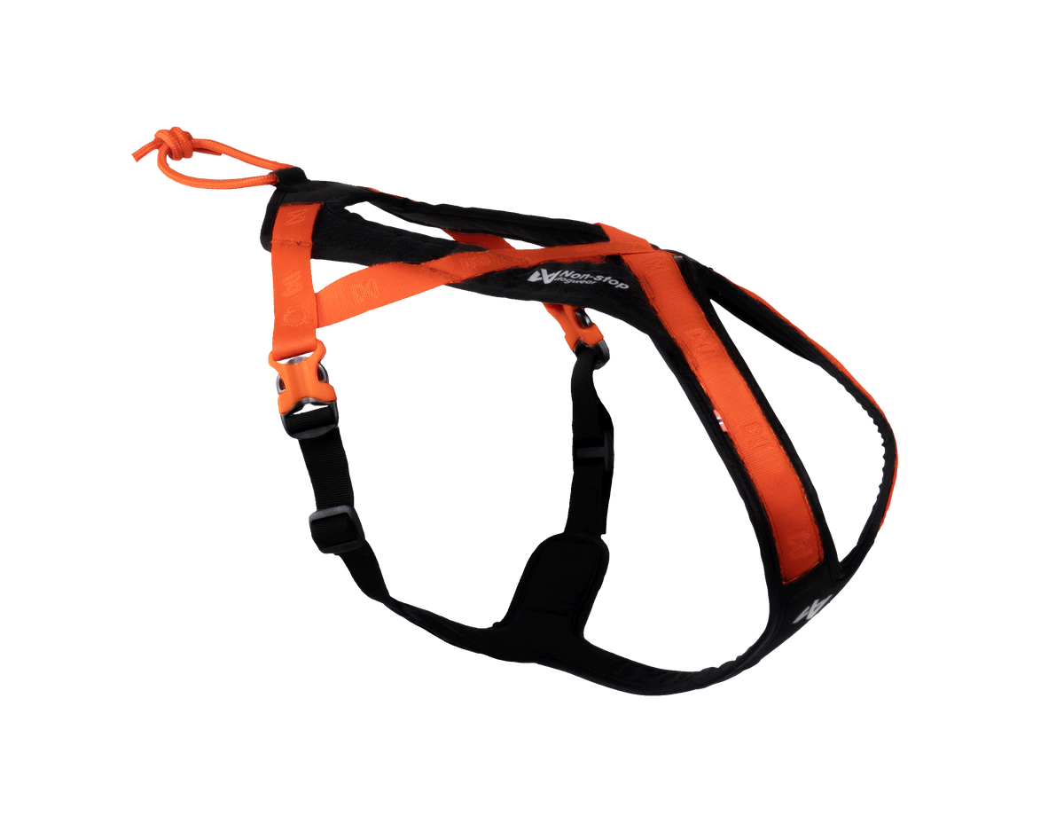 Non Stop Rush harness