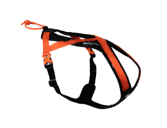 Non Stop Rush harness