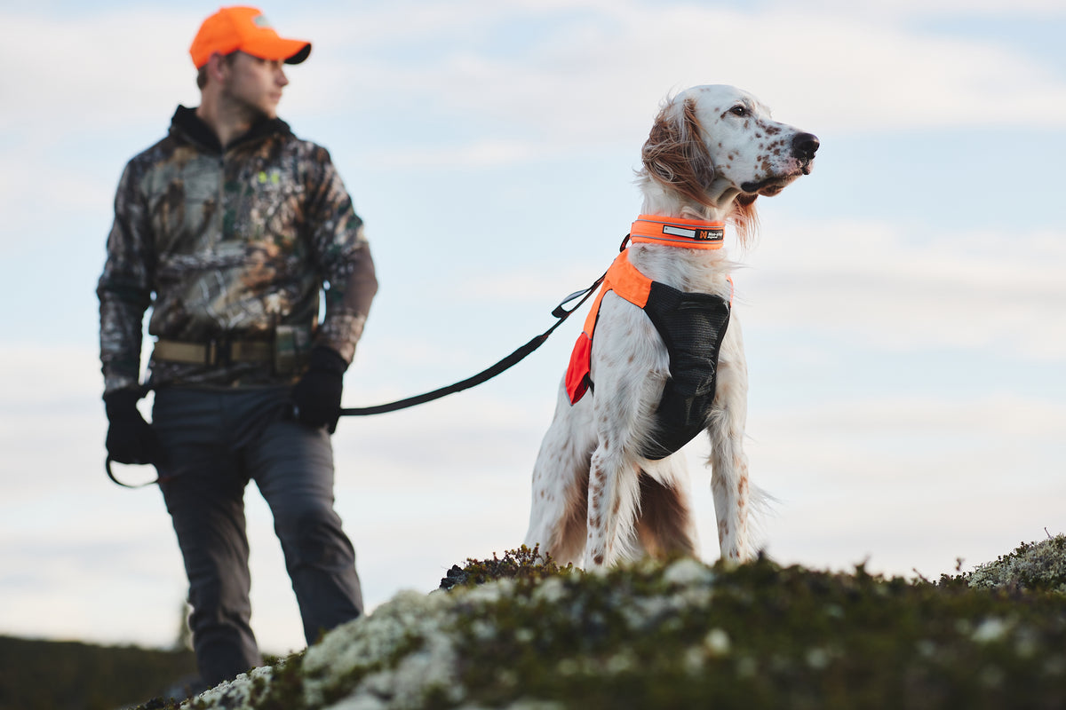 Non Stop Dogwear Touring Bungee adjustable