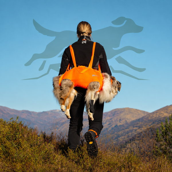Combined Dog Rescue Sling graphic