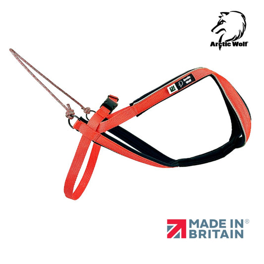 Arctic Wolf Multi Sport harness