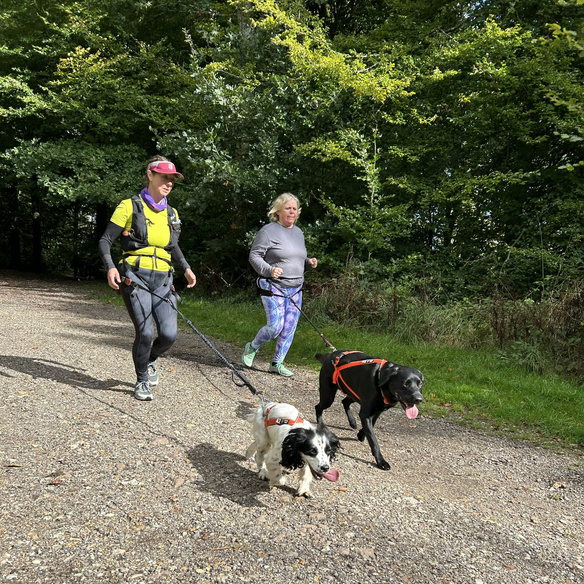 Arctic Wolf Multi Sport harness